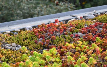 the cost of North Ness green roof installation