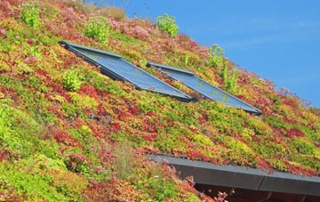 North Ness living roof systems