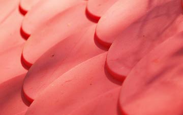 North Ness plastic roof costs